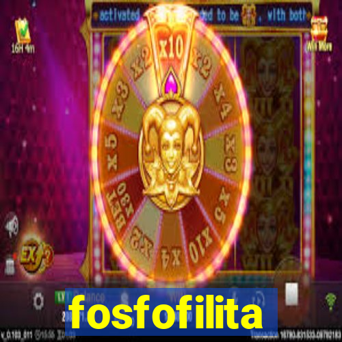 fosfofilita