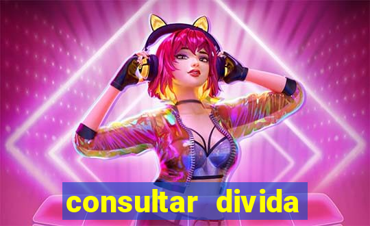consultar divida casas bahia