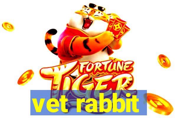 vet rabbit