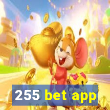255 bet app