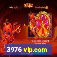 3976 vip.com