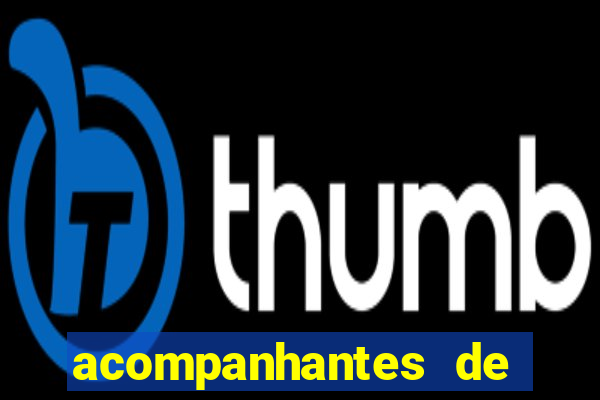 acompanhantes de porto velho