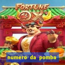 numero da pomba jogo do bicho