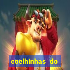 coelhinhas do brasil jp
