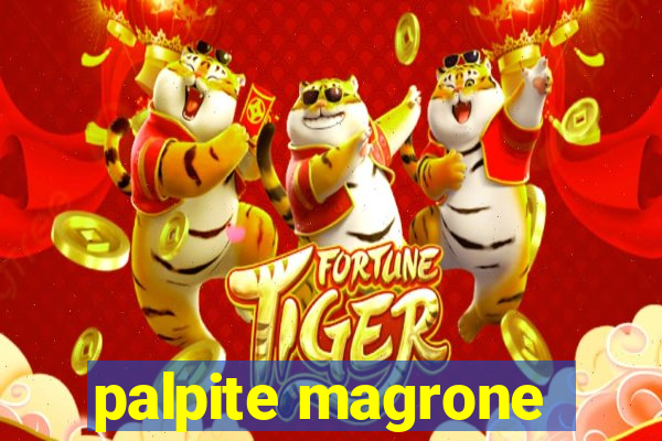palpite magrone