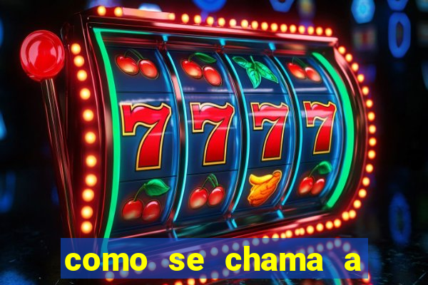 como se chama a empresa que distribui as cartas no brasil