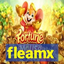 fleamx