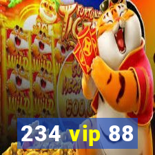 234 vip 88