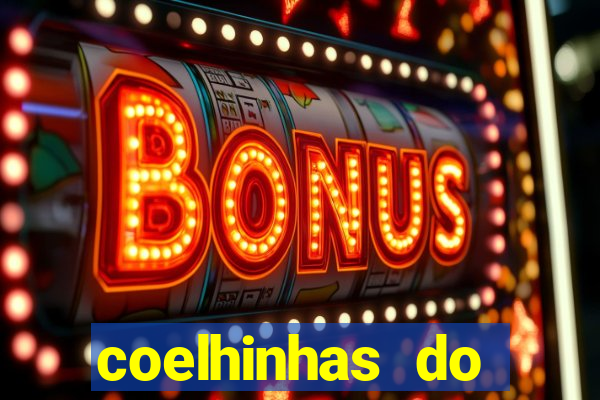 coelhinhas do brasil recife