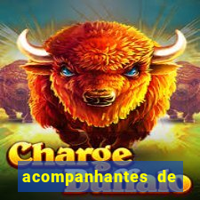 acompanhantes de nova mutum