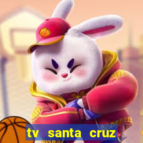 tv santa cruz bahia meio dia ao vivo