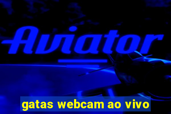 gatas webcam ao vivo