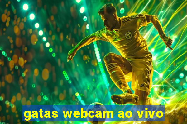 gatas webcam ao vivo