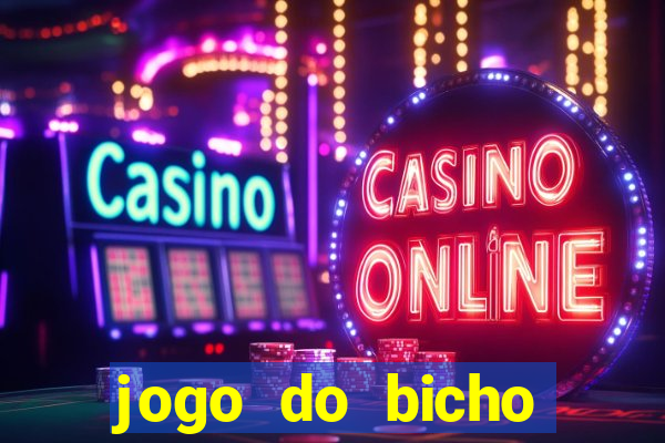 jogo do bicho crash bingo