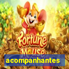 acompanhantes barreiras bahia