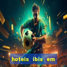 hoteis ibis em assis sp