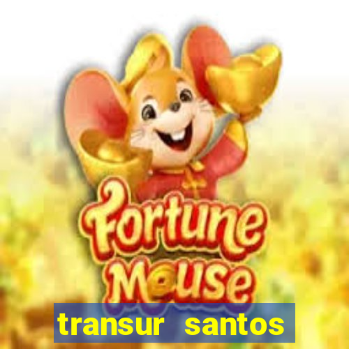 transur santos dumont x juiz de fora 2024