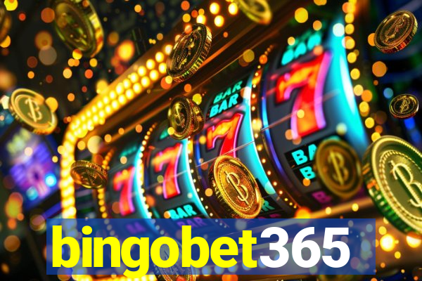 bingobet365
