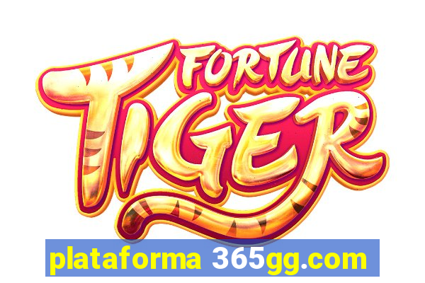 plataforma 365gg.com