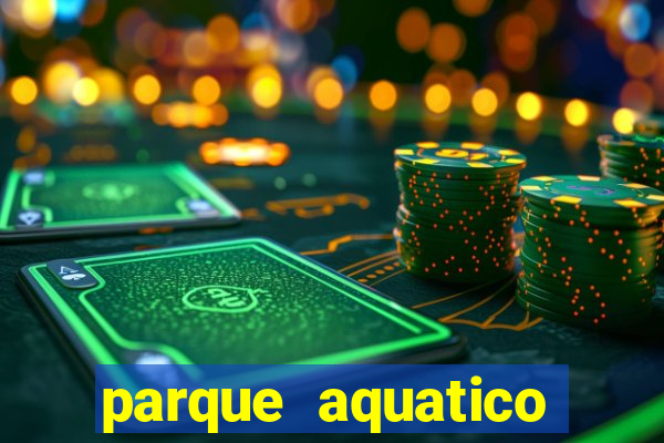 parque aquatico tina rolf salvador bahia