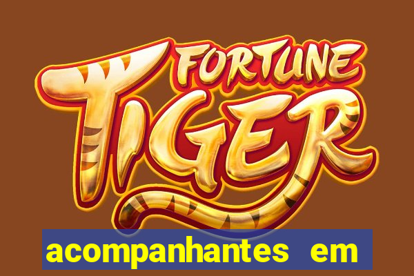 acompanhantes em porto velho rondonia