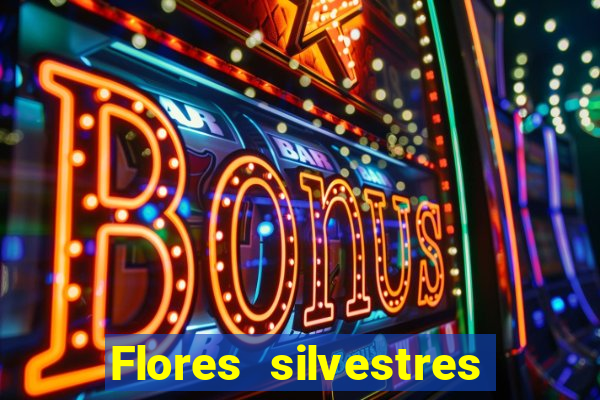 Flores silvestres brasileiras 25