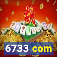 6733 com