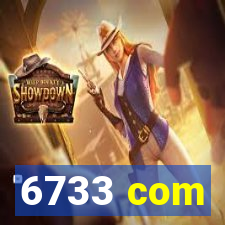 6733 com