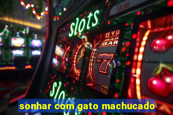 sonhar com gato machucado