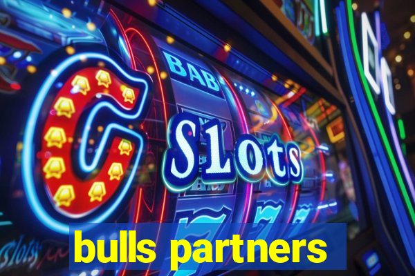 bulls partners