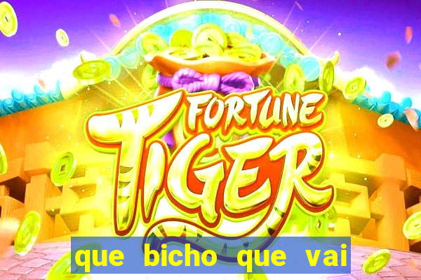 que bicho que vai dar hoje
