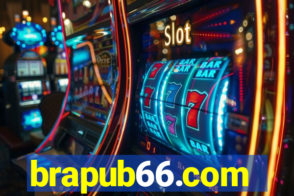 brapub66.com
