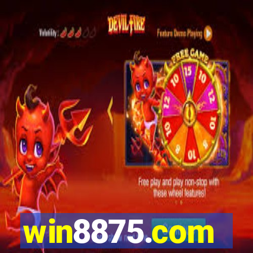 win8875.com