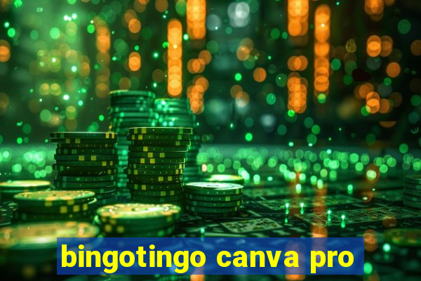 bingotingo canva pro