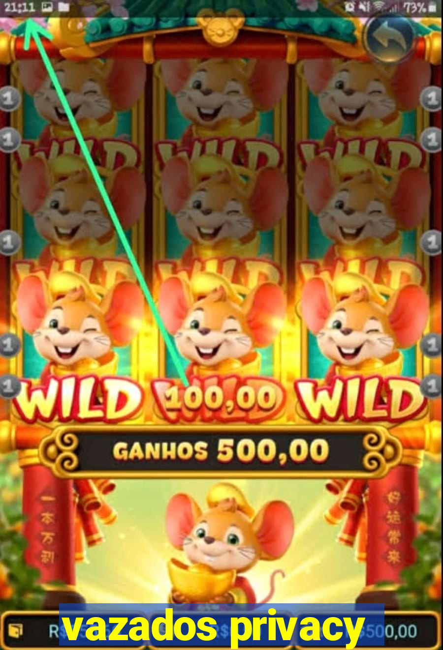 vazados privacy