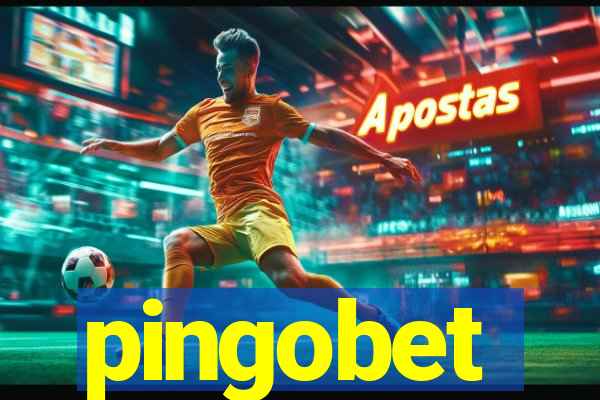 pingobet