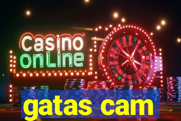 gatas cam