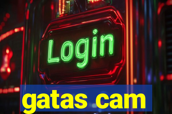 gatas cam