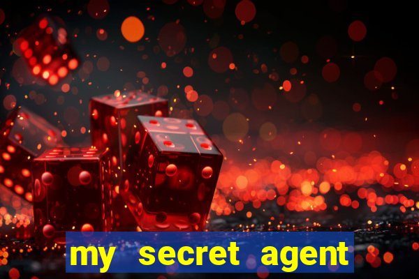 my secret agent husband legendado