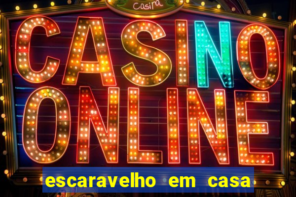 escaravelho em casa significado espiritual