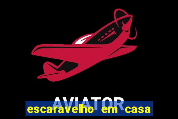 escaravelho em casa significado espiritual
