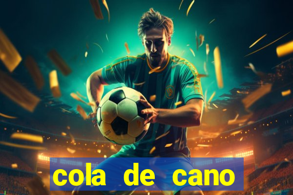 cola de cano quanto tempo para secar