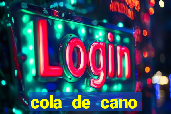 cola de cano quanto tempo para secar