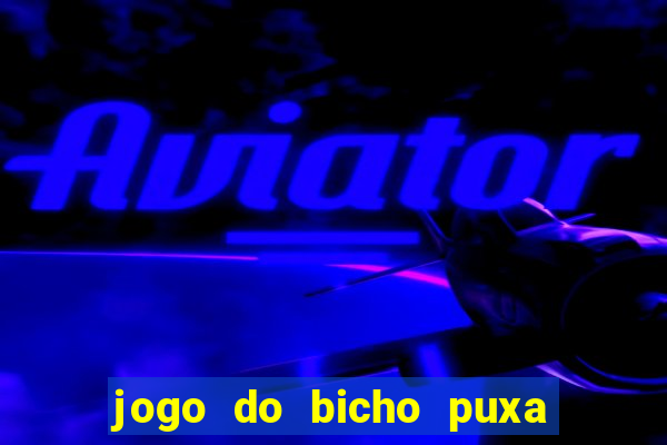 jogo do bicho puxa de dona maria
