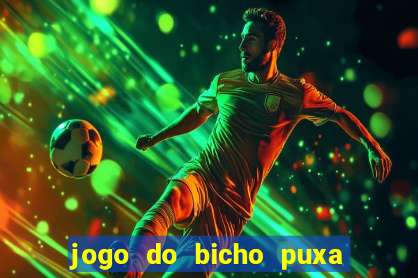 jogo do bicho puxa de dona maria