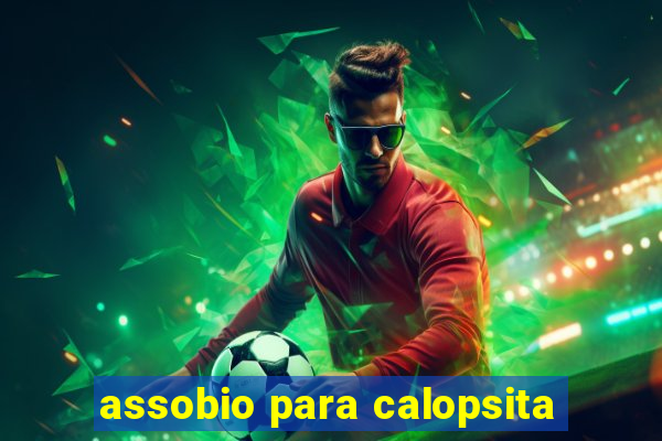 assobio para calopsita