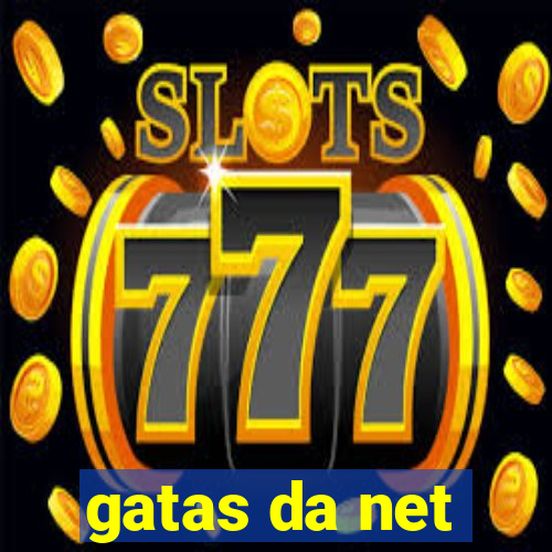 gatas da net