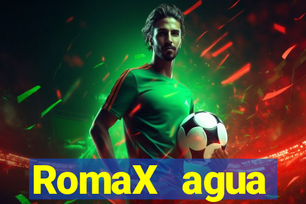 RomaX agua sanitaria fispq agua sanitaria romax
