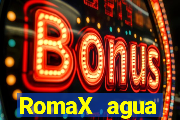 RomaX agua sanitaria fispq agua sanitaria romax