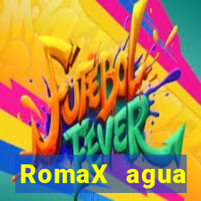 RomaX agua sanitaria fispq agua sanitaria romax
